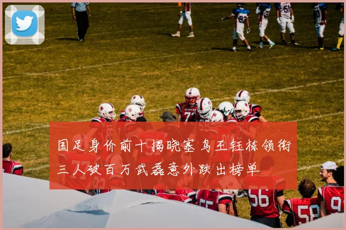 国足身价前十揭晓塞鸟王钰栋领衔三人破百万武磊意外跌出榜单