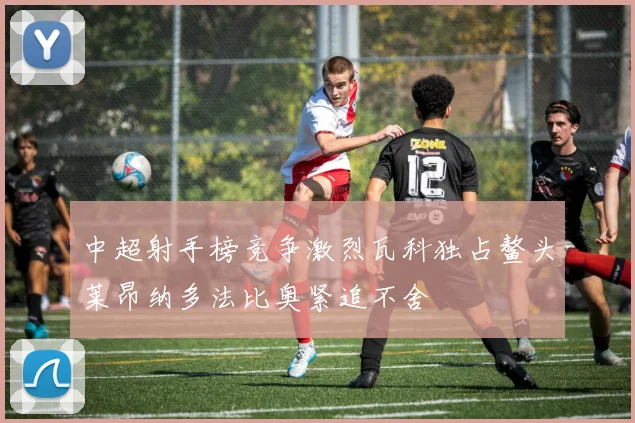 中超射手榜竞争激烈瓦科独占鳌头莱昂纳多法比奥紧追不舍