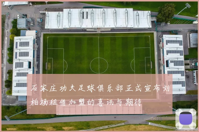 石家庄功夫足球俱乐部正式宣布刘柏杨租借加盟的喜讯与期待